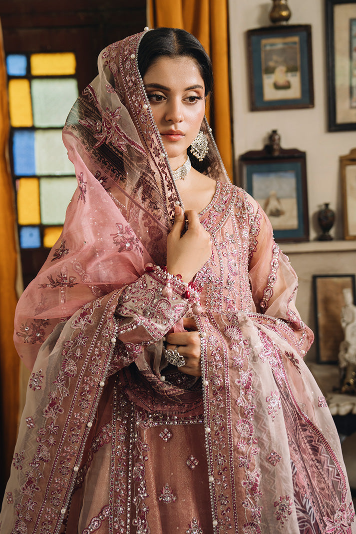 Model wearing a dusty rose Nikkah dress with intricate silver and pink embroidery, styled with a sheer printed and embellished dupatta draped over her head and shoulders.